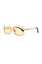 view 2 of 3 DND Sunglasses in Gold & Sunflower