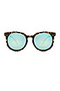 view 1 of 3 LUNETTES DE SOLEIL DON'T CHANGE in Tortoise & Blue