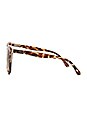 view 3 of 3 My Girl in Tortoise & Brown