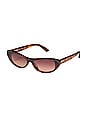 view 2 of 2 X Guizio Slate Cat Eye Sunglasses in Brown Tort & Dark Brown