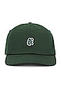 view 1 of 2 Qg Owl Dad Hat in Forest