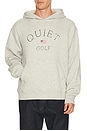 view 1 of 4 SUDADERA USA in Ash