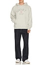 view 3 of 4 SUDADERA USA in Ash