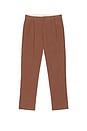 view 4 of 5 PANTALONES HERITAGE in Brown