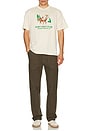 view 2 of 4 Laguna Canyon T-Shirt in Bone