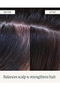 view 6 of 8 CHAMPÚ ALOE VERA SHAMPOO in 