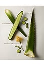 view 8 of 8 CHAMPÚ ALOE VERA SHAMPOO in 