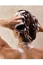 view 4 of 8 ACONDICIONADOR ALOE VERA CONDITIONER in 