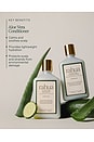 view 5 of 8 ACONDICIONADOR ALOE VERA CONDITIONER in 