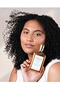 view 5 of 8 SHAMPOO CLÁSICO CLASSIC SHAMPOO in 