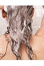 view 4 of 8 SHAMPOO HIDRATANTE HYDRATION SHAMPOO in 