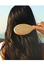 view 3 of 8 SHAMPOO ENCHANTED ISLAND. ENCHANTED ISLAND SHAMPOO in 