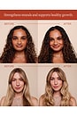 view 6 of 8 SHAMPOO ENCHANTED ISLAND. ENCHANTED ISLAND SHAMPOO in 