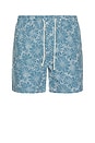 view 1 of 5 Logan Shorts in Multi Blue Sunflower