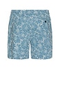 view 2 of 5 Logan Shorts in Multi Blue Sunflower