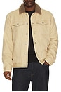 view 1 of 5 BLOUSON MCKINLEY in Duck