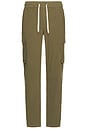 view 1 of 5 Emmerson Cargo Pants in Olive