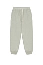 view 1 of 5 Cooper Sweatpants in Heather Grey