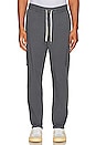 view 1 of 4 Emmerson Pants in Charcoal