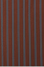 view 5 of 5 CAMISA NA in Rust Navy Stripe