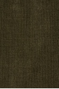 view 6 of 5 CHEMISE in Lichen Green