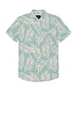 view 1 of 3 CAMISA in Palm Shadow Aqua