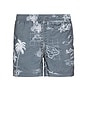 view 1 of 6 La Brea Swim Shorts in Paradise Washed Black