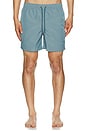 view 5 of 6 La Brea Swim Shorts in Slate Blue