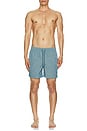 view 6 of 6 La Brea Swim Shorts in Slate Blue