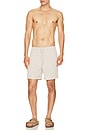 view 3 of 5 La Brea Swim Trunks in Khaki Check