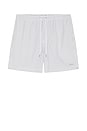 view 4 of 5 La Brea Swim Trunks in Sage White