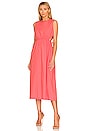 view 1 of 3 Yvette Cinched Waist Dress in Spiced Coral