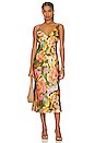 view 1 of 3 Jacinda Dress in Terra Floral
