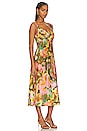 view 2 of 3 Jacinda Dress in Terra Floral