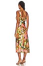 view 3 of 3 Jacinda Dress in Terra Floral