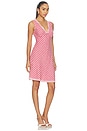view 2 of 4 Bex Dress in Picnic Check