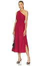 view 1 of 4 Selani Dress in Spice