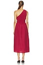 view 4 of 4 Selani Dress in Spice