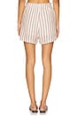 view 4 of 6 Leighton Short in Milos Stripe