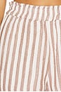 view 6 of 6 Leighton Short in Milos Stripe
