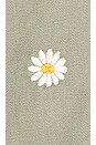 view 5 of 5 BLOUSON SAHARA in Sage Daisies