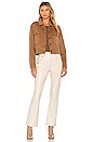 view 4 of 4 Easton Jacket in Camel