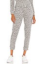 view 1 of 4 PANTALON DEVON in Melange Grey Leopard