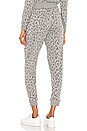 view 3 of 4 PANTALON DEVON in Melange Grey Leopard