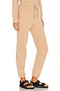 view 2 of 4 Kingston Sweatpant in Heather Camel