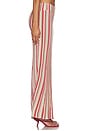 view 3 of 6 FALDA NARI in Havana Stripe