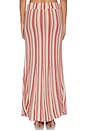 view 4 of 6 FALDA NARI in Havana Stripe