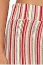 view 6 of 6 FALDA NARI in Havana Stripe