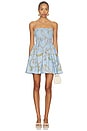 view 1 of 3 Catalina Mini Dress in Fortuna