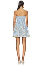 view 3 of 3 Catalina Mini Dress in Fortuna
